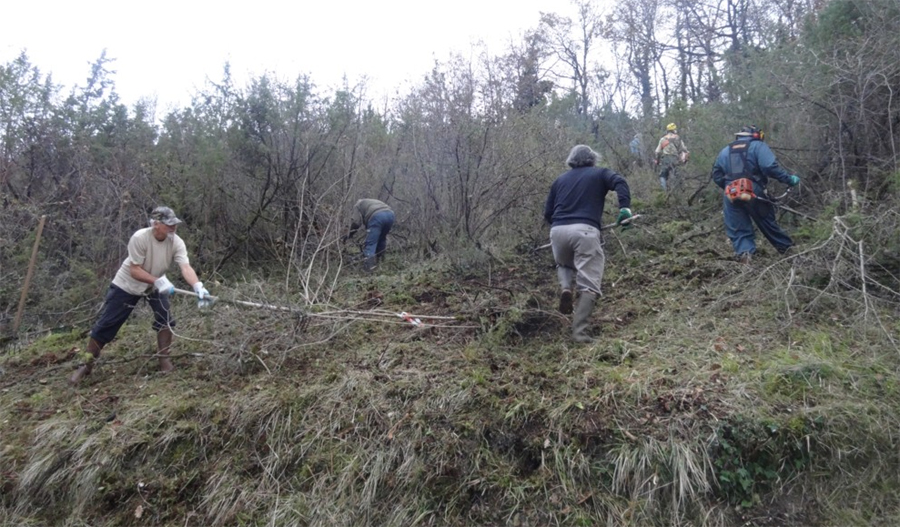 Equipe CREN 16 Charente-Nature et SFO PCV en leine action de débroussaillement