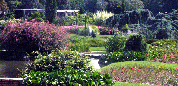 La nouvelle roseraie internationale Le jardin botanique du Parc de la Tête d'Or à Lyon SFO PCV 