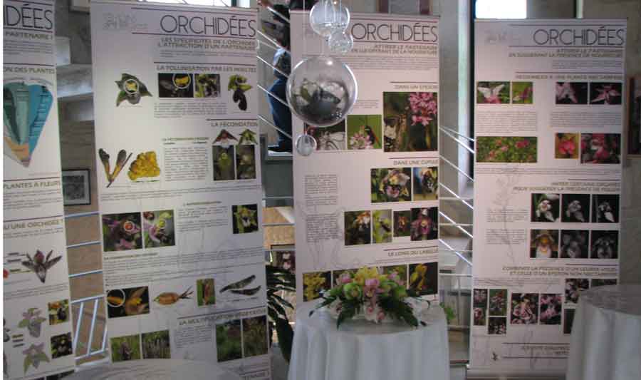 Panneaux didactiques sur l'Expo. Les Orchidées témoins de la biodiversité SFO PCV