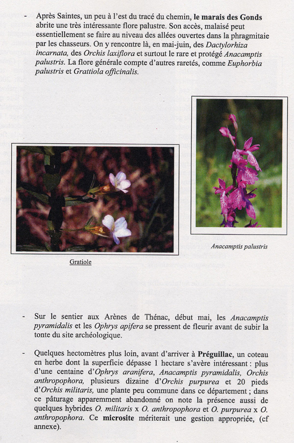 Microsites à Orchidées sur les chemins balisés de la Voie Turonienne (Via turonensis) des Chemins de Compostelle en Poitou-Charentes. - Contrat d'objectifs avec la Région Poitou-Charentes. 4