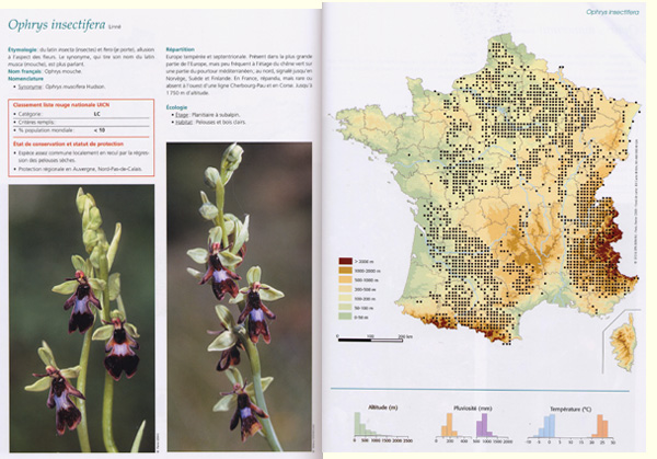 VIENT DE PARAÎTRE - Atlas de Orchidées de France - Editions Biotope - Collection Parthénope. SFO.