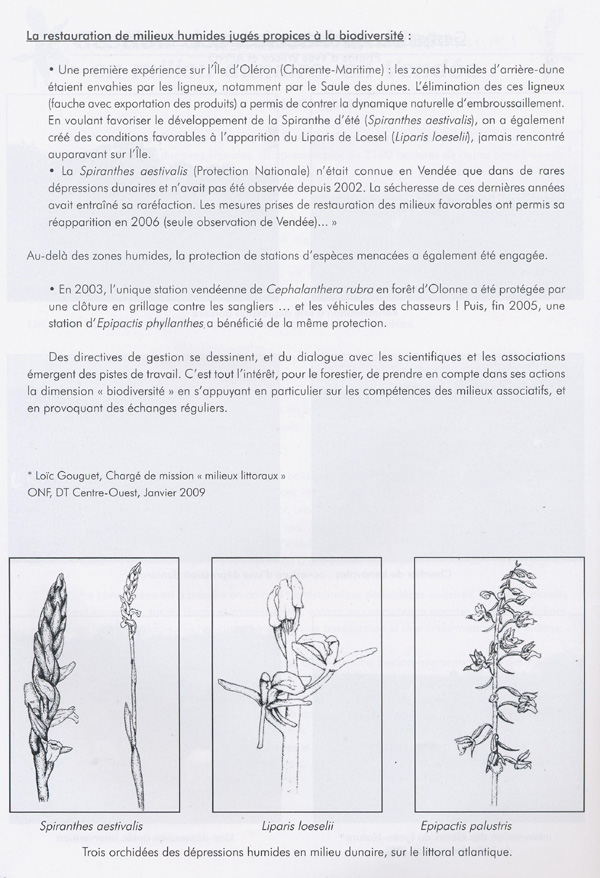 Protection - gestion : (2) Gestion des zones humides en milieu dunaire, en Vendée par Loïc Gouguet. SFO PCV