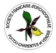 Compte-rendu d'activités Orchidées exotiques logo SFO PCV Sociéré Française d'Orchidophilie de Poitou-Charentes et Vendée