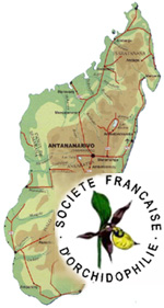 Madagascar Orchidées de Madagascar carte SFO PCV