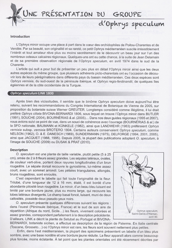 Page 1 Une pésentation du groupe d'Ophrys speculum.