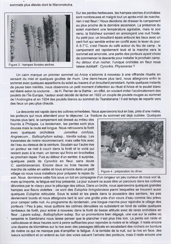 Page 5 MADAGASCAR - SES ORCHIDES - Voyage 2011 sur la Montagne du Tsaratanana.