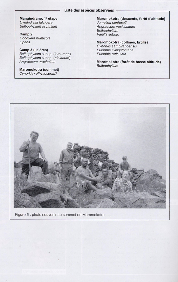 Page 7 MADAGASCAR - SES ORCHIDES - Voyage 2011 sur la Montagne du Tsaratanana.